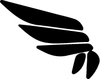 THE LIFESTYLE CLUB